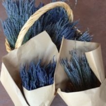 Dried Lavender bunches
